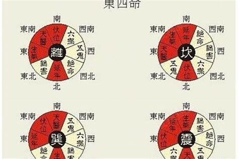 东西四命速查表|东四命西四命速查表 命卦对照表